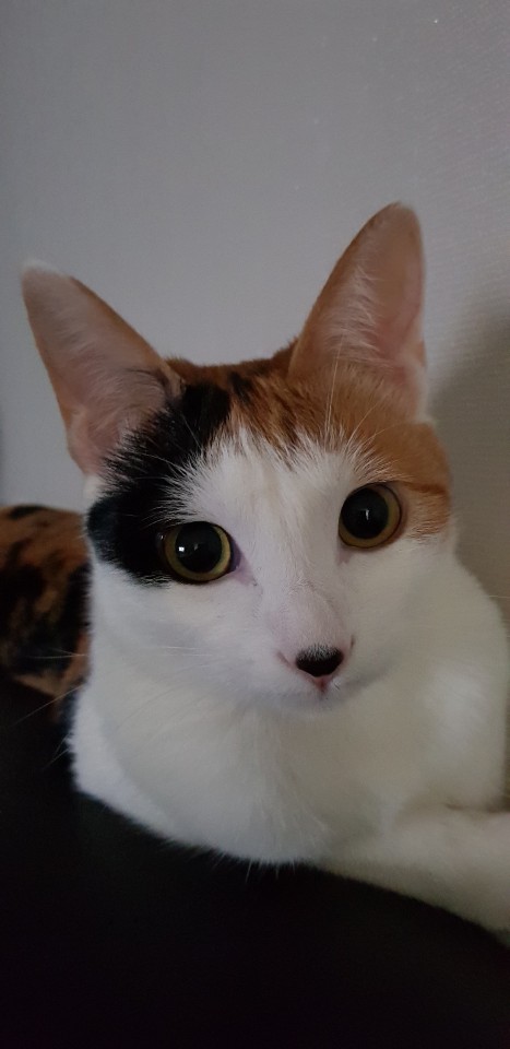 이미지