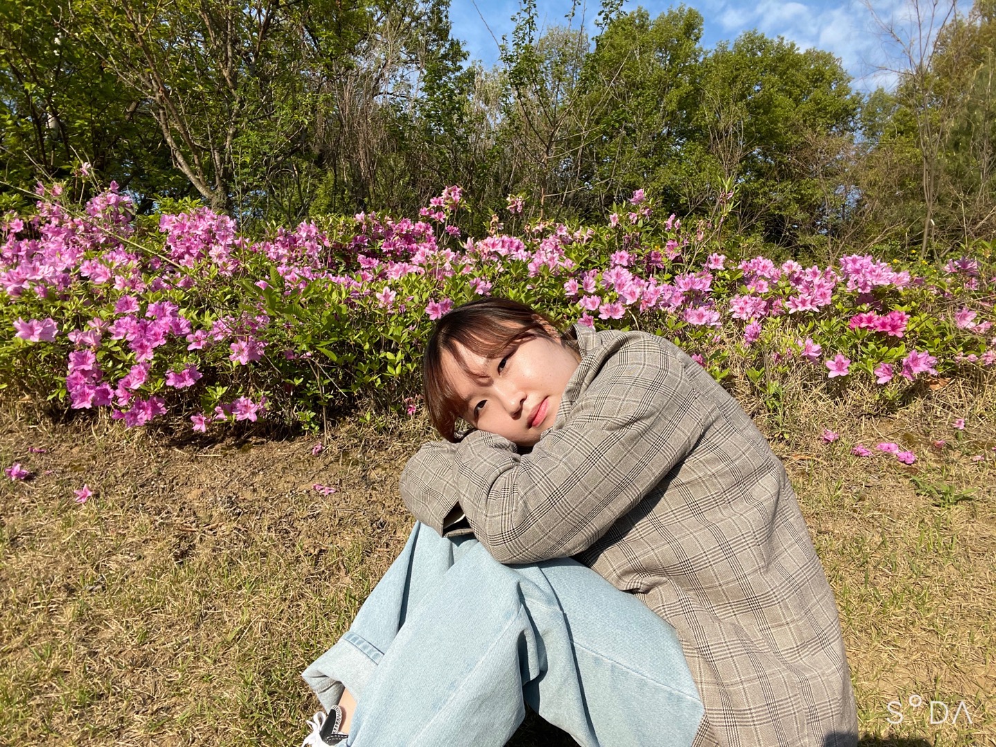 이미지