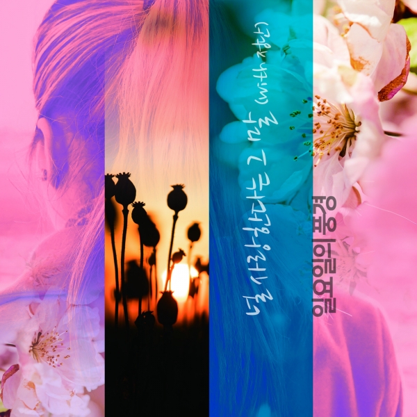 이미지